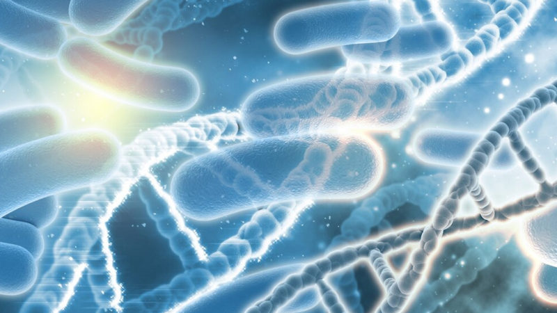 Crece el conocimiento sobre el rol de la microbiota en la salud y en la enfermedad